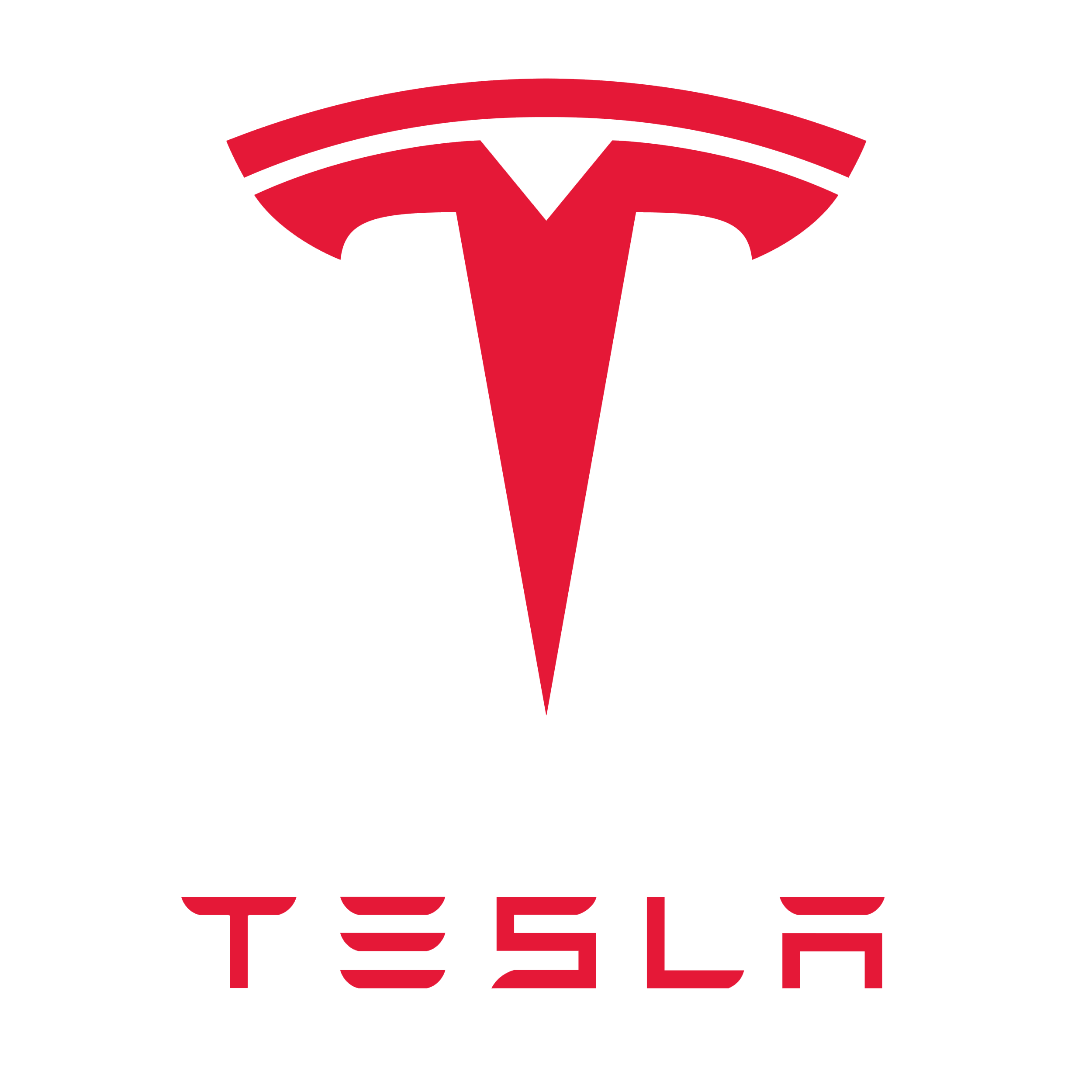 Tesla AI logo